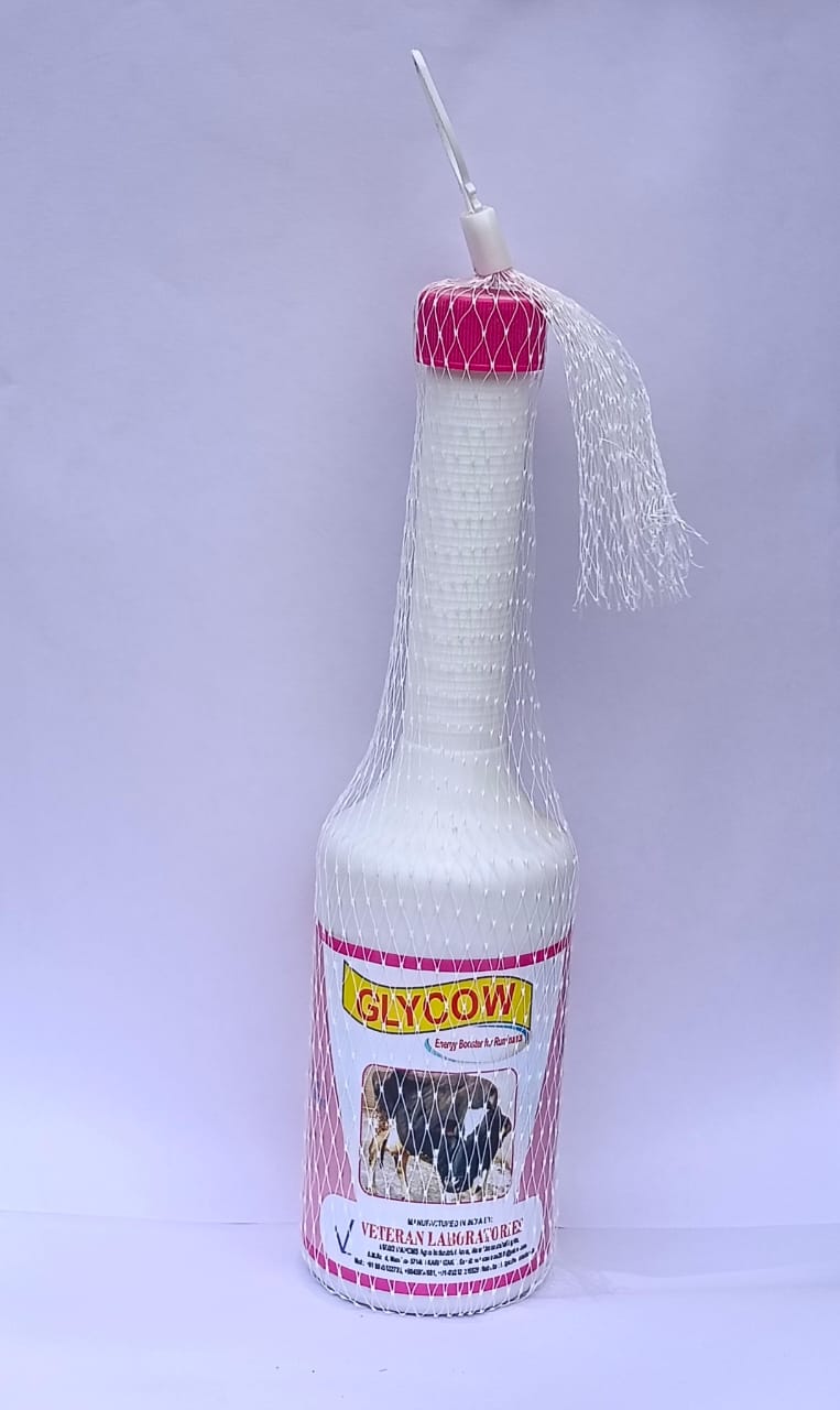 GLYCOW