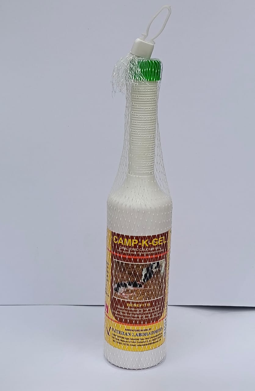 CAMP-K-GEL