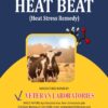 HEAT BEAT