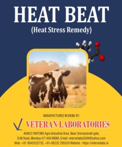 HEAT BEAT