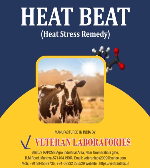 HEAT BEAT