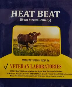 HEAT BEAT